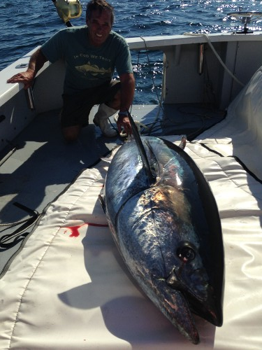 Gloucester Bluefin Tuna Fishing Charters